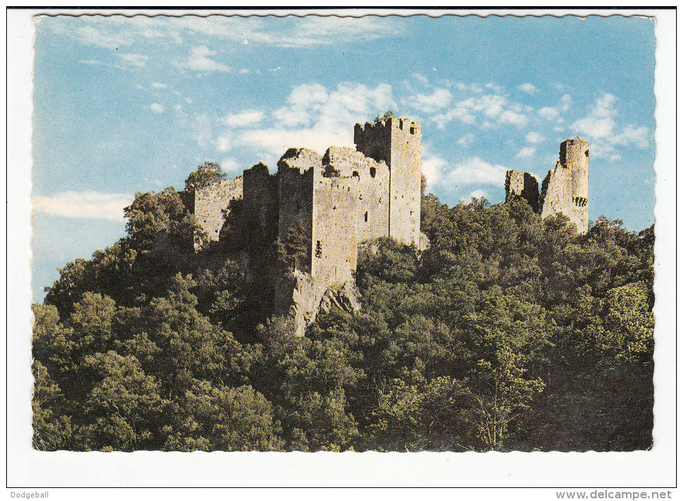 couleur horiz (36).jpg